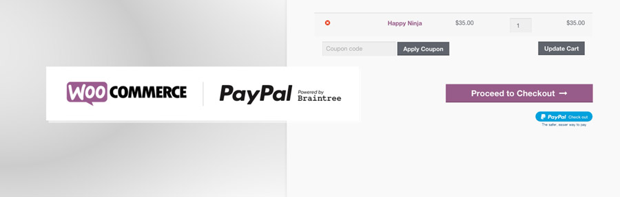 Paypal by braintree banner