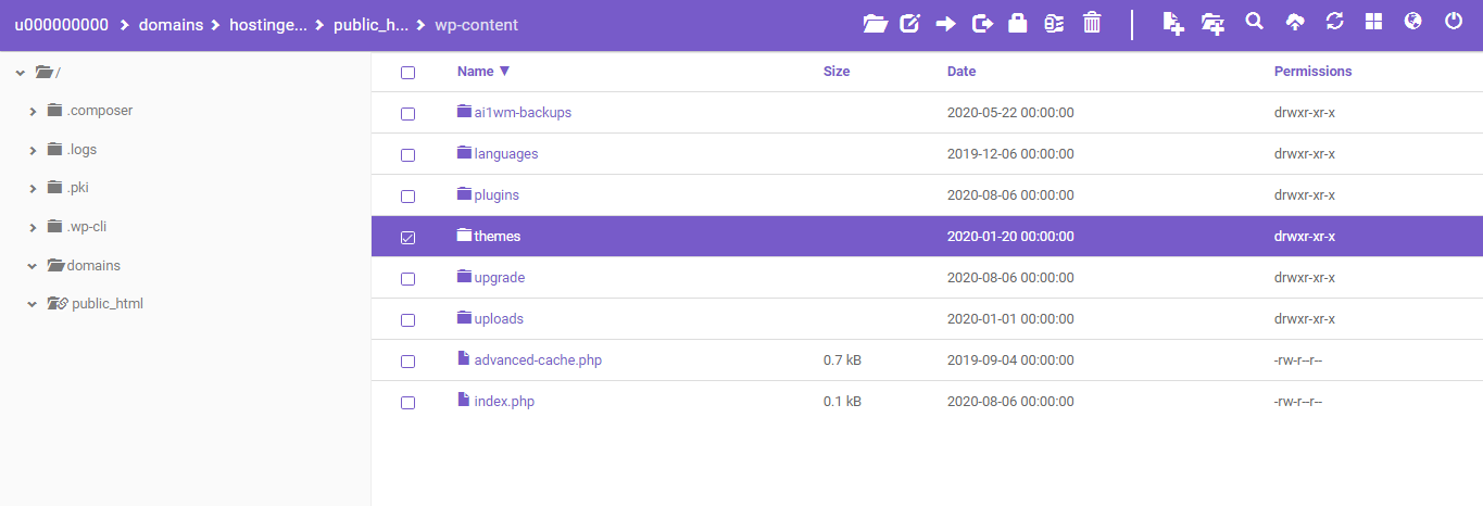 Screenshot showcasing themes folder in file manager