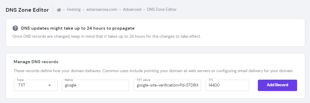 Hostinger's DNS Zone Editor settings