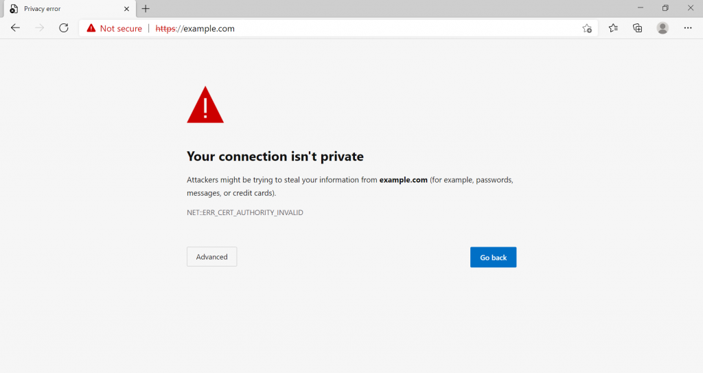 Screenshot showing your connection is not private error on Microsoft Edge