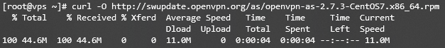 Downloading OpenVPN package
