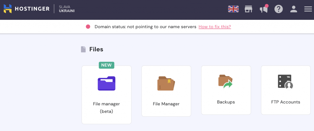 Accessing the File Manager on hPanel