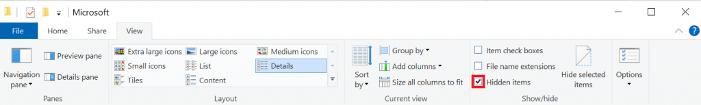 The Hidden items option in File Explorer