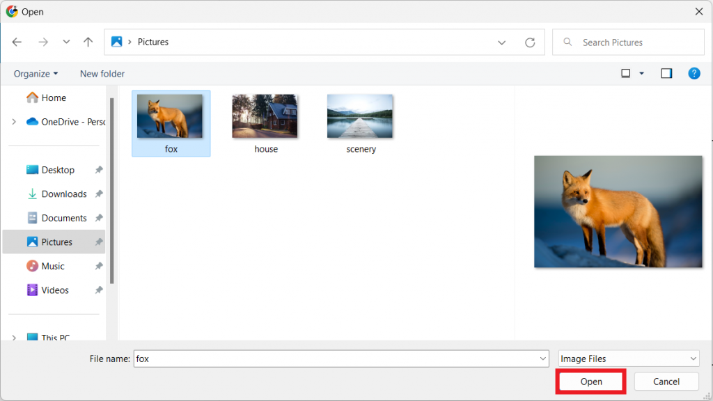 Windows File Manager showing the Pictures folder and highlighting the Open button